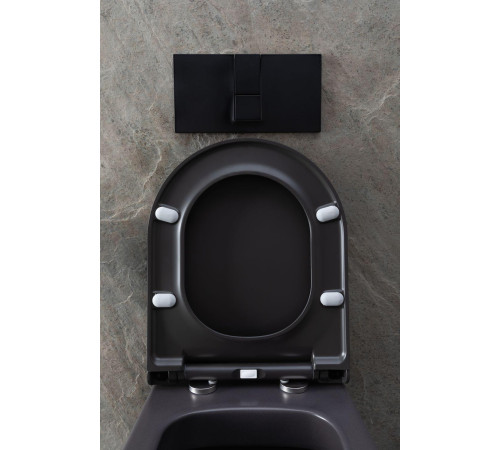 Чаша подвесного унитаза Allen Brau Priority 4.31002.AN антрацит