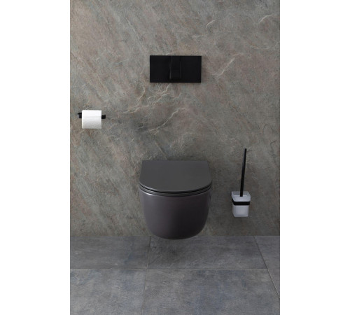 Чаша подвесного унитаза Allen Brau Priority 4.31002.AN антрацит