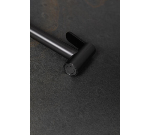 Гигиеническая лейка Allen Brau Priority 5.31028-MG графит браш