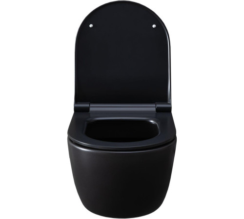 Чаша подвесного унитаза Allen Brau Priority 4.31001.31 черный матовый