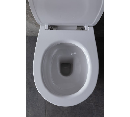 Крышка-сиденье для унитаза Allen Brau Fantasy Smartfix, Soft-Close 4.11005.20 белый глянец