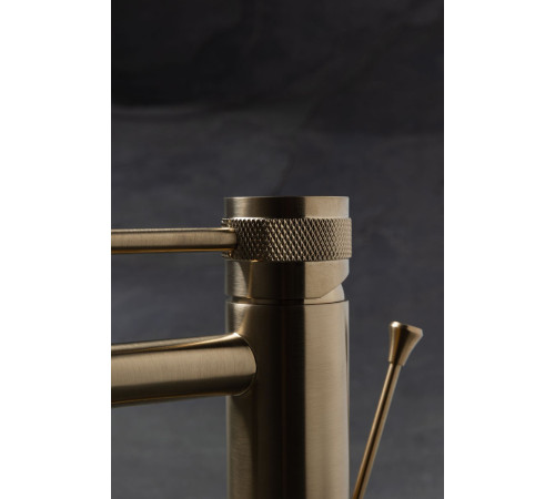 Смеситель для биде Allen Brau Priority 5.31A04-GB (с донным клапаном) золото