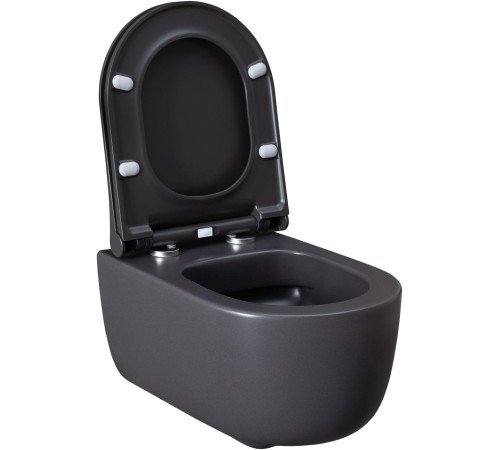 Чаша подвесного унитаза Allen Brau Priority 4.31002.AN антрацит