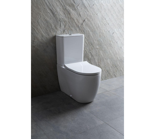 Чаша напольного унитаза Allen Brau Priority 4.31003.20 белый