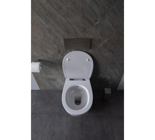 Чаша подвесного унитаза Allen Brau Fantasy 4.11HC1.20 белый глянец