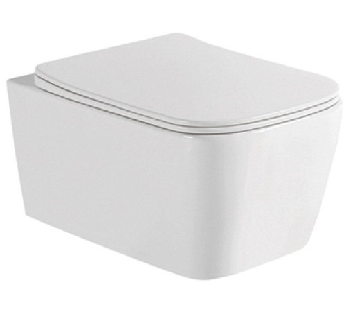 Унитаз подвесной Allen Brau Liberty 4.32003.20 белый глянец