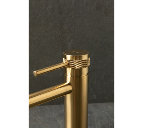 Смеситель для раковины Allen Brau Priority 5.31A01-GB золото