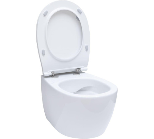 Чаша подвесного унитаза Allen Brau Fantasy 4.11004.20 белый глянец