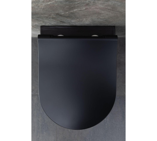 Чаша подвесного унитаза Allen Brau Priority 4.31002.31 черный матовый