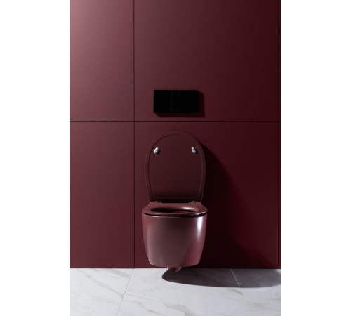 Чаша подвесного унитаза Allen Brau Fantasy 4.11004.BD бордо