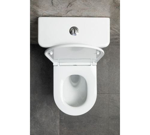 Чаша напольного унитаза Allen Brau Priority Tornado 4.31006.20 белый глянец