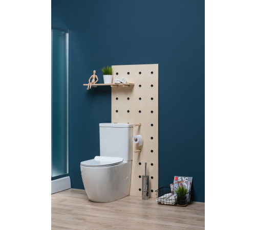 Чаша напольного унитаза Aquanet Rimless Cetus-C1 BL-102N-TPT