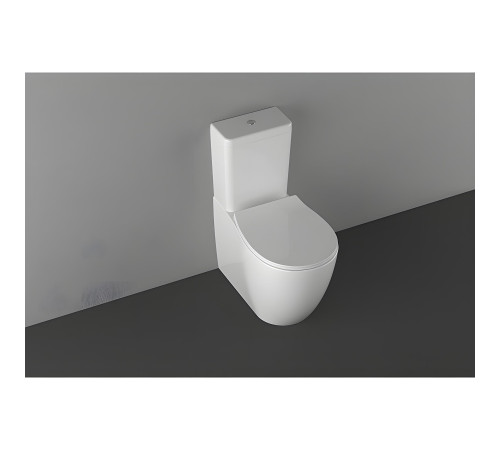 Чаша напольного унитаза Allen Brau Fantasy 4.11009.20 белый глянец