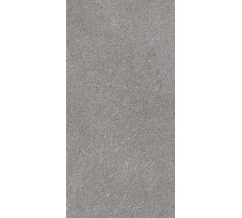 Керамогранит Роверелла DL501220R Пепельный матовый 60х119.5