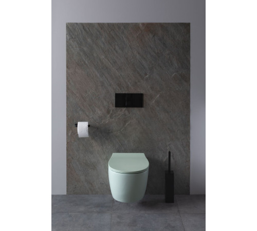 Чаша подвесного унитаза Allen Brau Fantasy 4.11004.MT мятный