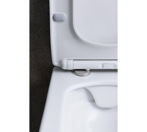 Чаша подвесного унитаза Allen Brau Liberty 4.33007.21 белый матовый