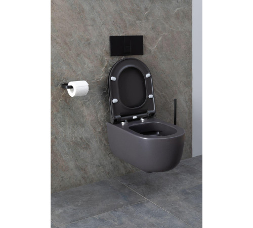 Чаша подвесного унитаза Allen Brau Priority 4.31002.AN антрацит