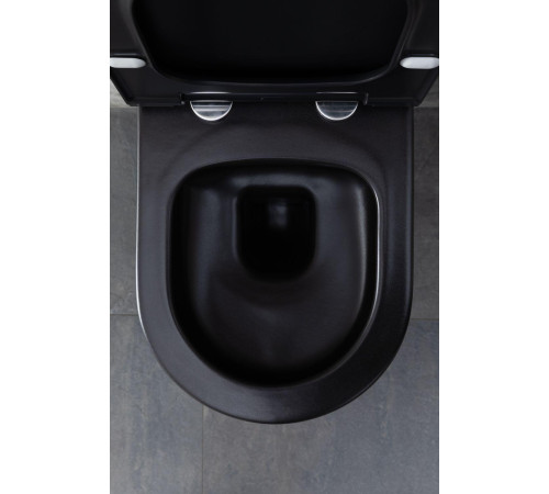 Чаша подвесного унитаза Allen Brau Priority 4.31002.31 черный матовый