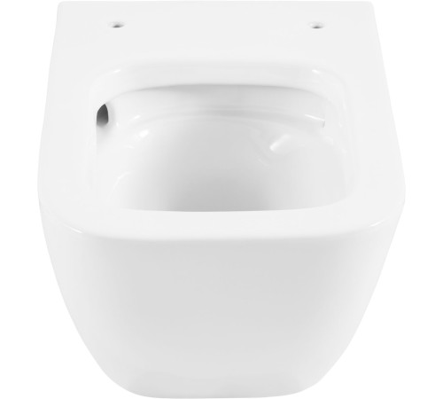Чаша подвесного унитаза Allen Brau Liberty 4.33011.20 белый