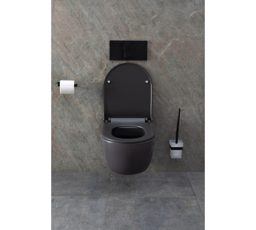 Чаша подвесного унитаза Allen Brau Priority 4.31002.AN антрацит