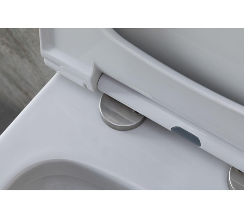 Унитаз с инсталляцией Allen Brau Priority 4.31002.20/8.9466.0.000.000.1 белый глянец