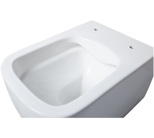 Унитаз подвесной Allen Brau Liberty 4.32003.20 белый глянец