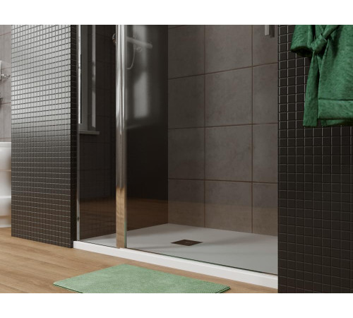 Душевая дверь Allen Brau Priority 100 3.31004.00G хром