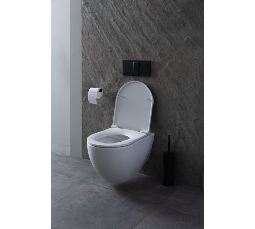 Чаша подвесного унитаза Allen Brau Reality 4.32006.20 белый глянец