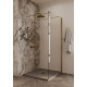 Душевая перегородка Allen Brau Infinity 2 100 3.21038.BA.T серебро браш