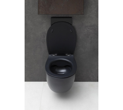 Чаша подвесного унитаза Allen Brau Fantasy 4.11004.31 черный матовый