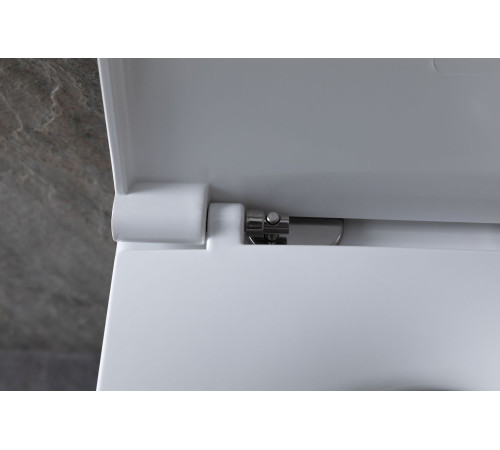 Чаша подвесного унитаза Allen Brau Reality 4.32006.20 белый глянец