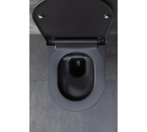 Чаша подвесного унитаза Allen Brau Priority 4.31001.AN антрацит