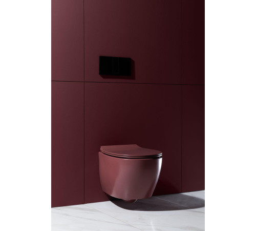 Чаша подвесного унитаза Allen Brau Fantasy 4.11004.BD бордо