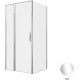 Душевой уголок Allen Brau Priority 100x90 3.31028.00 + 3.31043.00 хром