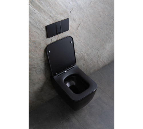 Чаша подвесного унитаза Allen Brau Liberty 4.33007.31 черный матовый