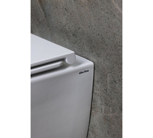 Чаша подвесного унитаза Allen Brau Liberty 4.33011.20 белый