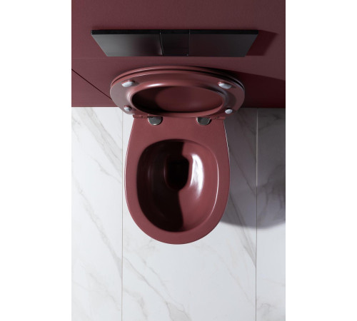 Чаша подвесного унитаза Allen Brau Fantasy 4.11004.BD бордо