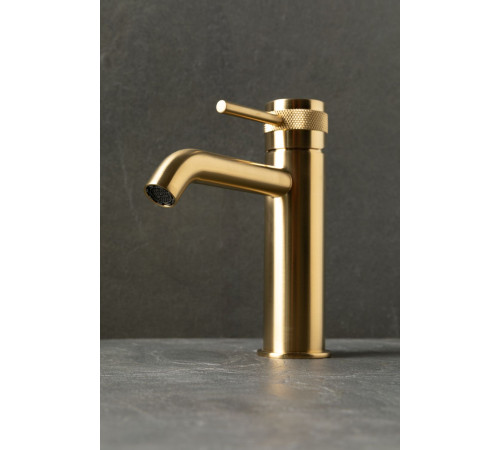 Смеситель для раковины Allen Brau Priority 5.31A01-GB золото