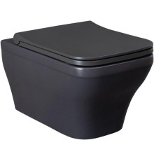 Чаша подвесного унитаза Allen Brau Infinity 4.21011.AN антрацит