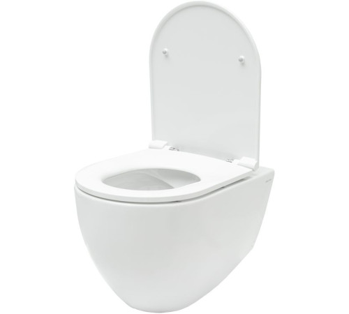 Чаша подвесного унитаза Allen Brau Reality 4.32006.20 белый глянец