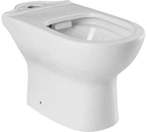 Чаша напольного унитаза Aquanet Ray-C