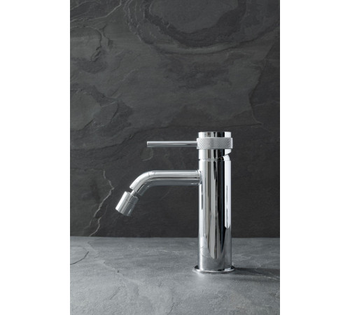 Смеситель для биде Allen Brau Priority 5.31A04-00 (с донным клапаном) хром