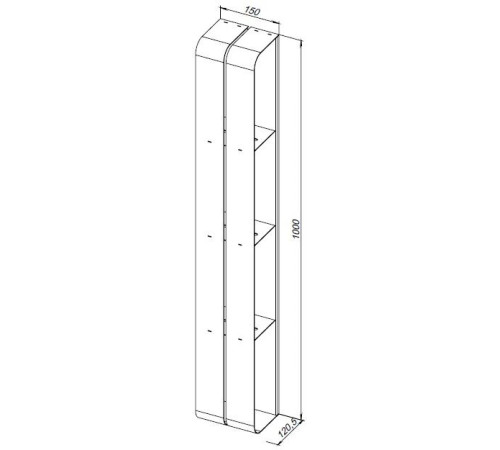Полка Aquanet Магнум H 15x100 черная матовая, вертикальная