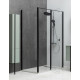 Душевой уголок Allen Brau Priority 120x100 3.31033.BBA + 3.31048.BBA черный браш