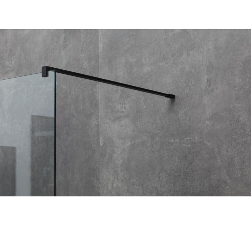 Душевая перегородка Allen Brau Infinity 1 120 3.21021.BBA черный браш