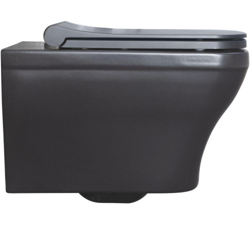 Чаша подвесного унитаза Allen Brau Infinity 4.21011.31 черный матовый