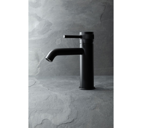 Смеситель для раковины Allen Brau Priority 5.31A01-31 черный матовый