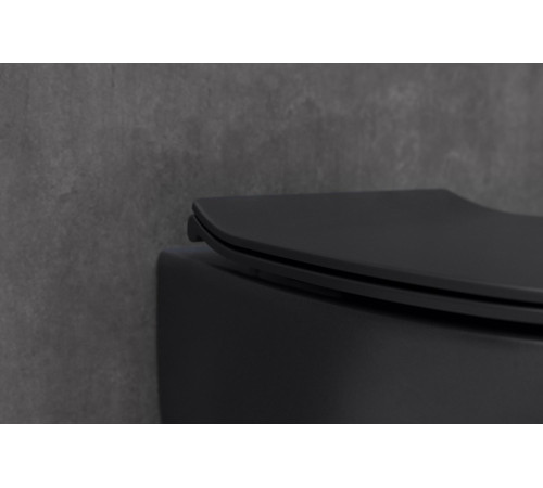 Чаша подвесного унитаза Allen Brau Fantasy 4.11004.31 черный матовый