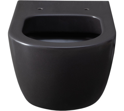 Чаша подвесного унитаза Allen Brau Priority 4.31001.AN антрацит