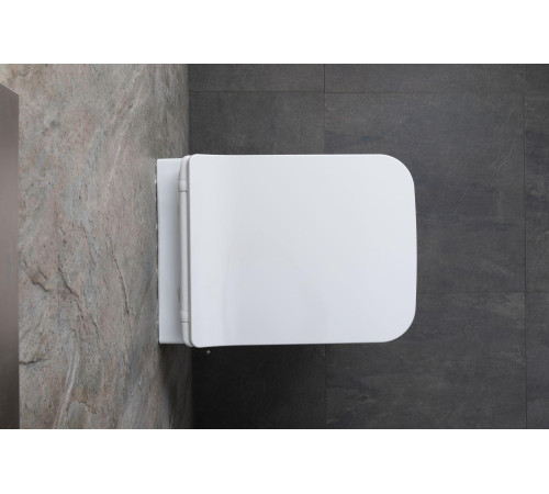 Чаша подвесного унитаза Allen Brau Liberty 4.33009.20 белый